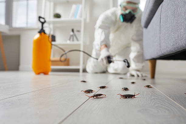 Trusted Cockroach Control service in Mechanicsville, MD - Nex Pest Control
