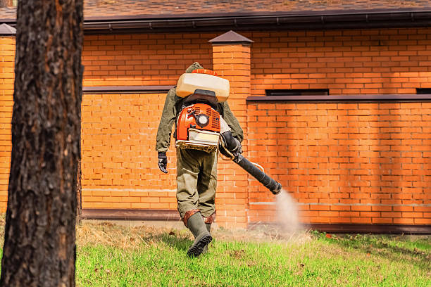 Trusted Ant Control service in Mechanicsville, MD - Nex Pest Control